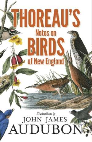 Thoreau, H: Thoreau's Notes on Birds of New England de Henrydavid Thoreau