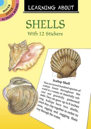 Learning About Shells de Sy Barlowe