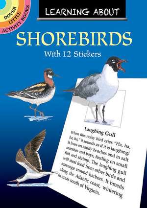 LEARNING ABT SHOREBIRDS de Sy Barlowe