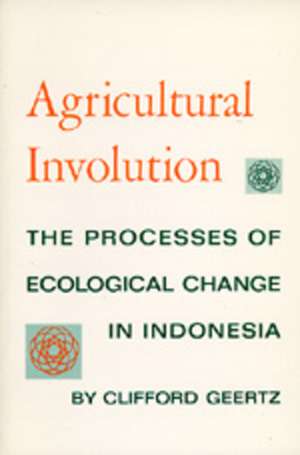 Agricultural Involution de Geertz