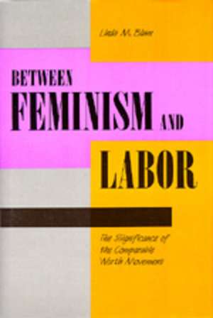 Between Feminism & Labor (Paper) de Blum