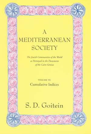 A Mediterranean Society V 6 – Cumulative Indices de S. D. Goitein