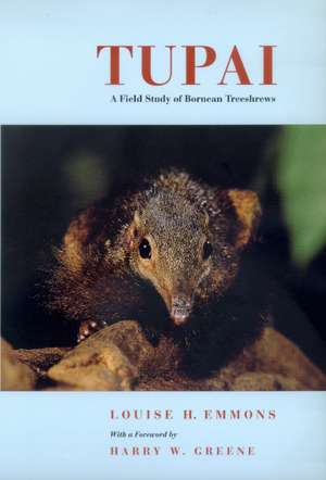 Tupai – A Field Study of Bornean Treeshews de Louise H. Emmons