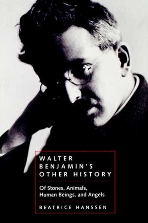 Walter Benjamin′s Other History – Of Stones, Animals, Human Beings & Angels de Beatrice Hanssen