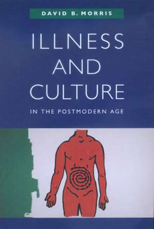 Illness & Culture in the Postmodern Age de David B Morris