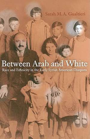 Between Arab and White – Race and Ethnicity in the Early Syrian–American Diaspora de Sarah Gualtieri