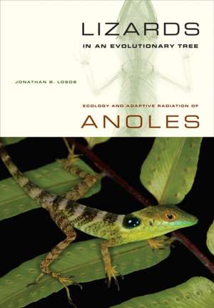 Lizards in an Evolutionary Tree – Ecology and Adaptive Radiation of Anoles de Jonathan Losos