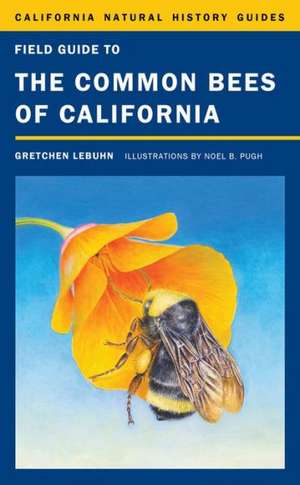 Field Guide to the Common Bees of California de Gretchen Lebuhn