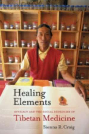 Healing Elements – Efficacy and the Social Ecologies of Tibetan Medicine de Sienna Craig