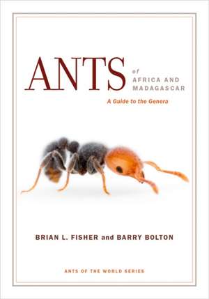 Ants of Africa and Madagascar – A Guide to the Genera de Brian L. Fisher