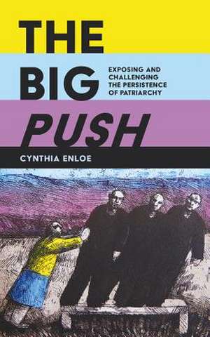 The Big Push – Exposing and Challenging Sustainable Patriarchy de Cynthia Enloe