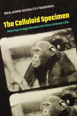 The Celluloid Specimen de Benjamin Schultz-Figueroa