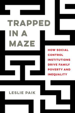 Trapped in a Maze – How Social Control Institutions Drive Family Poverty and Inequality de Leslie Paik