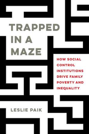 Trapped in a Maze de Leslie Paik