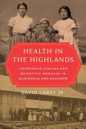 Health in the Highlands – Indigenous Healing and Scientific Medicine in Guatemala and Ecuador de David Carey