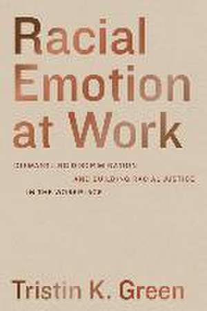 Racial Emotion at Work – Dismantling Discrimination and Building Racial Justice in the Workplace de Tristin K. Green