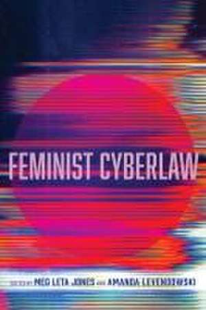 Feminist Cyberlaw de Meg Leta Jones