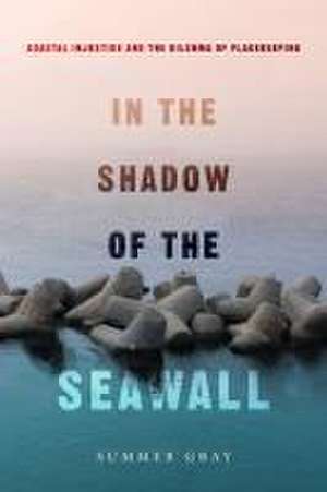 In the Shadow of the Seawall – Coastal Injustice and the Dilemma of Placekeeping de Summer Gray