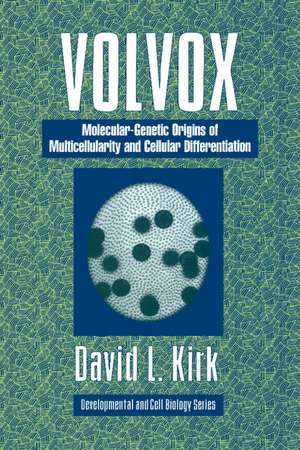 Volvox: A Search for the Molecular and Genetic Origins of Multicellularity and Cellular Differentiation de David L. Kirk