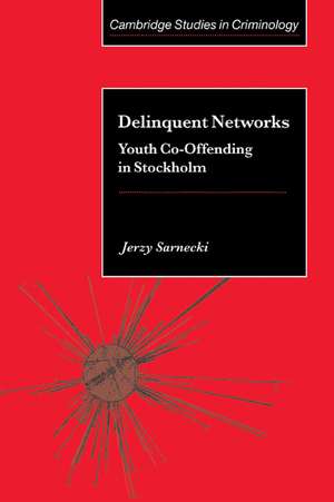 Delinquent Networks: Youth Co-Offending in Stockholm de Jerzy Sarnecki