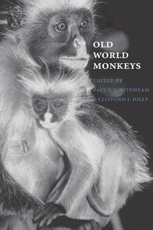 Old World Monkeys de Paul F. Whitehead