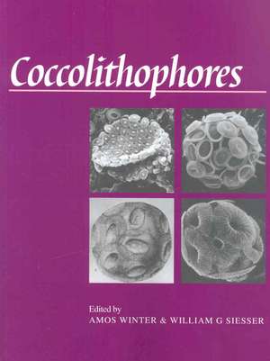 Coccolithophores de Amos Winter