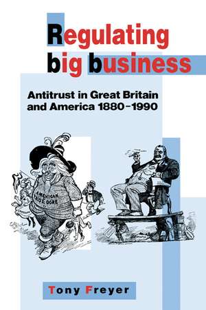 Regulating Big Business: Antitrust in Great Britain and America, 1880–1990 de Tony Freyer