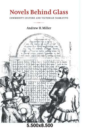 Novels behind Glass: Commodity Culture and Victorian Narrative de Andrew H. Miller