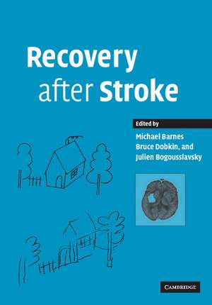 Recovery after Stroke de Michael P. Barnes