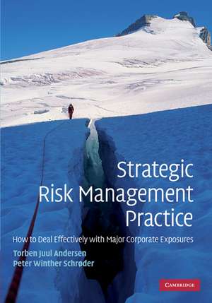 Strategic Risk Management Practice: How to Deal Effectively with Major Corporate Exposures de Torben Juul Andersen