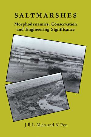 Saltmarshes: Morphodynamics, Conservation and Engineering Significance de J. R. L. Allen