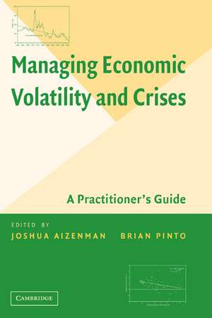 Managing Economic Volatility and Crises: A Practitioner's Guide de Joshua Aizenman