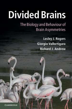 Divided Brains: The Biology and Behaviour of Brain Asymmetries de Lesley J. Rogers