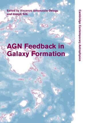 AGN Feedback in Galaxy Formation de Vincenzo Antonuccio-Delogu