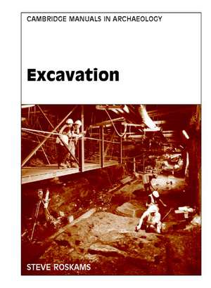 Excavation de Steve Roskams