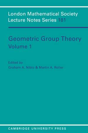 Geometric Group Theory de Graham Niblo