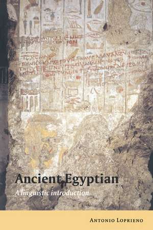 Ancient Egyptian: A Linguistic Introduction de Antonio Loprieno