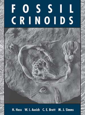 Fossil Crinoids de Hans Hess