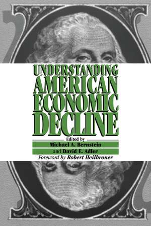 Understanding American Economic Decline de Michael A. Bernstein