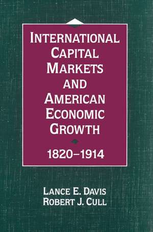 International Capital Markets and American Economic Growth, 1820–1914 de Lance E. Davis