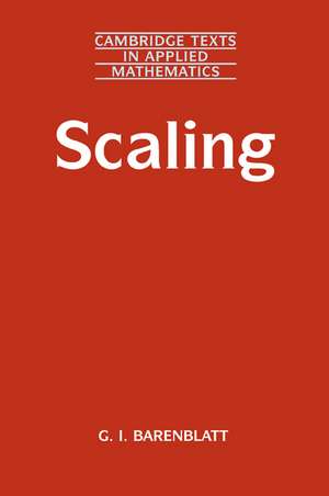 Scaling de Grigory Isaakovich Barenblatt