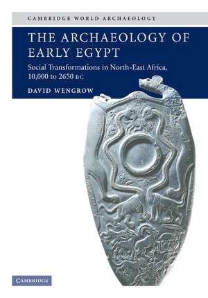 The Archaeology of Early Egypt: Social Transformations in North-East Africa, c.10,000 to 2,650 BC de David Wengrow