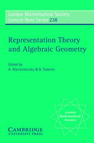 Representation Theory and Algebraic Geometry de A. Martsinkovsky