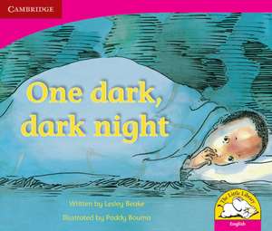 One Dark Dark Night (English) de Lesley Beake