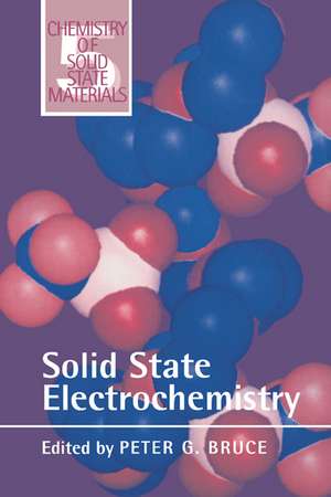 Solid State Electrochemistry de Peter G. Bruce