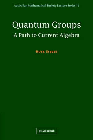 Quantum Groups: A Path to Current Algebra de Ross Street