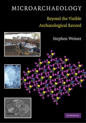 Microarchaeology: Beyond the Visible Archaeological Record de Stephen Weiner