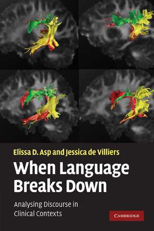 When Language Breaks Down: Analysing Discourse in Clinical Contexts de Elissa D. Asp