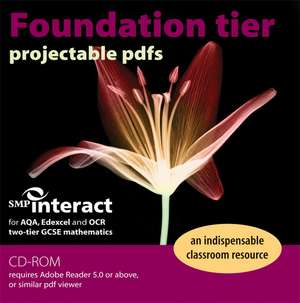 SMP Interact for Two-Tier GSCE Mathematics Foundation Tier Projectable PDFs CD-ROM de School Mathematics Project