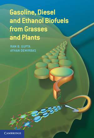 Gasoline, Diesel, and Ethanol Biofuels from Grasses and Plants de Ram B. Gupta